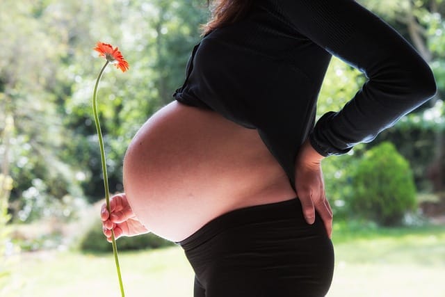 the top tips for pregnancy